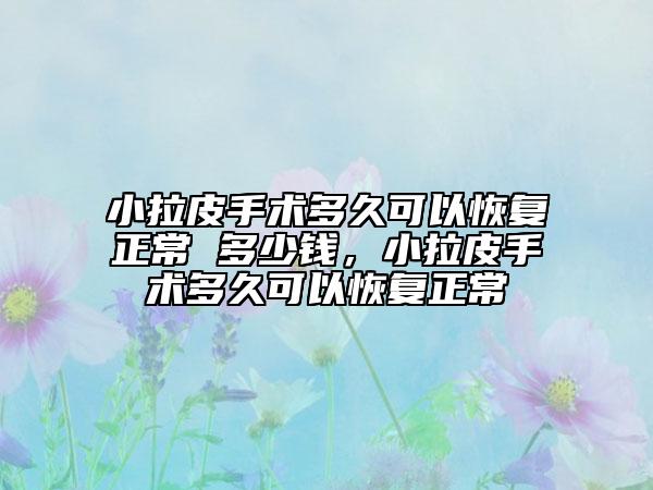 小拉皮手术多久可以恢复正常 多少钱，小拉皮手术多久可以恢复正常