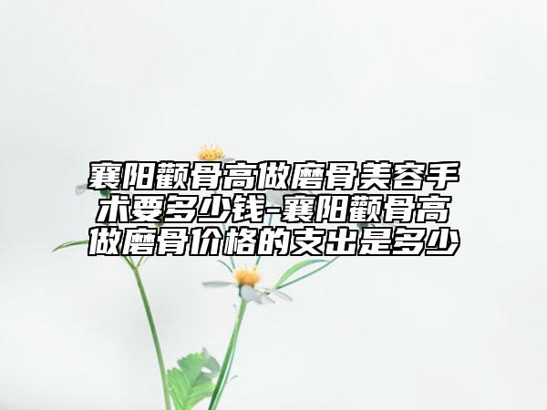 襄阳颧骨高做磨骨美容手术要多少钱-襄阳颧骨高做磨骨价格的支出是多少