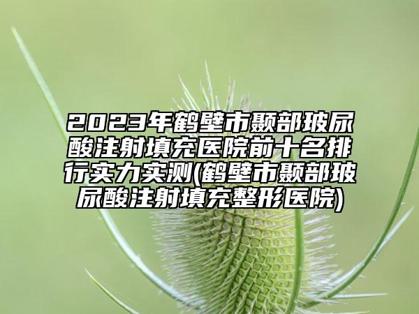 2023年鹤壁市颞部玻尿酸注射填充医院前十名排行实力实测(鹤壁市颞部玻尿酸注射填充整形医院)