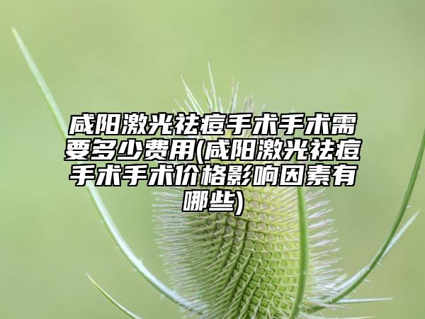 咸阳激光祛痘手术手术需要多少费用(咸阳激光祛痘手术手术价格影响因素有哪些)
