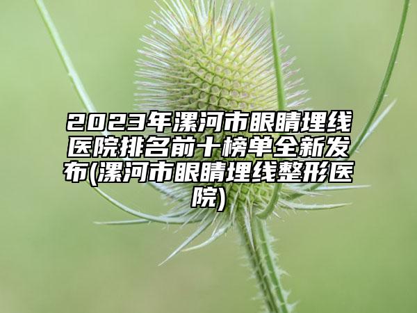 2023年漯河市眼睛埋线医院排名前十榜单全新发布(漯河市眼睛埋线整形医院)
