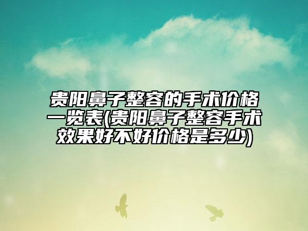 贵阳鼻子整容的手术价格一览表(贵阳鼻子整容手术效果好不好价格是多少)
