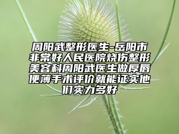 周阳武整形医生-岳阳市非常好人民医院烧伤整形美容科周阳武医生做厚唇便薄手术评价就能证实他们实力多好