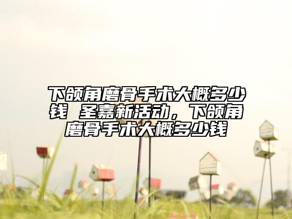 下颌角磨骨手术大概多少钱 圣嘉新活动，下颌角磨骨手术大概多少钱