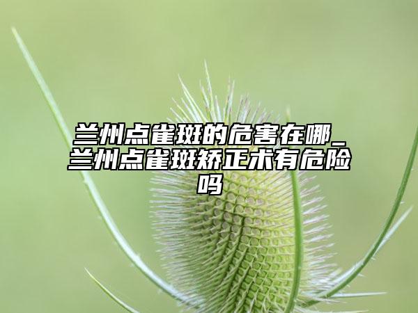 兰州点雀斑的危害在哪_兰州点雀斑矫正术有危险吗