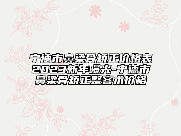 宁德市鼻梁骨矫正价格表2023新年曝光-宁德市鼻梁骨矫正整容术价格