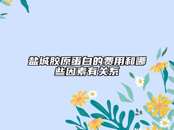 盐城胶原蛋白的费用和哪些因素有关系