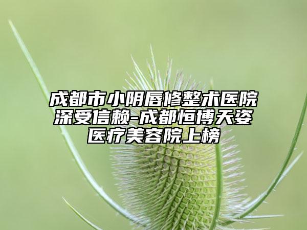 成都市小阴唇修整术医院深受信赖-成都恒博天姿医疗美容院上榜