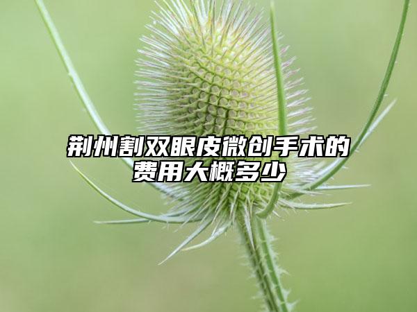 荆州割双眼皮微创手术的费用大概多少