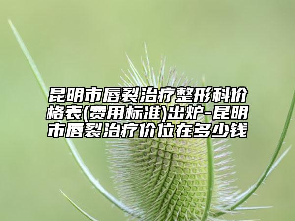 昆明市唇裂治疗整形科价格表(费用标准)出炉-昆明市唇裂治疗价位在多少钱