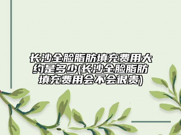 长沙全脸脂肪填充费用大约是多少(长沙全脸脂肪填充费用会不会很贵)
