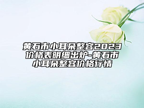 黄石市小耳朵整容2023价格表明细出炉-黄石市小耳朵整容价格行情