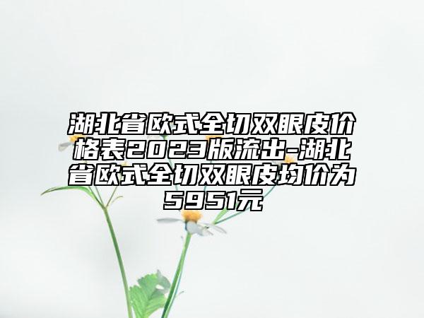 湖北省欧式全切双眼皮价格表2023版流出-湖北省欧式全切双眼皮均价为5951元