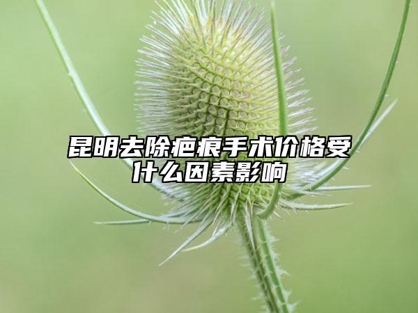 昆明去除疤痕手术价格受什么因素影响