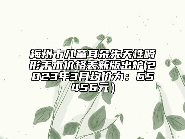 梅州市儿童耳朵先天性畸形手术价格表新版出炉(2023年3月均价为：65456元）
