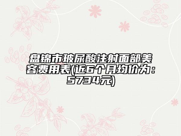 盘锦市玻尿酸注射面部美容费用表(近6个月均价为：5734元)