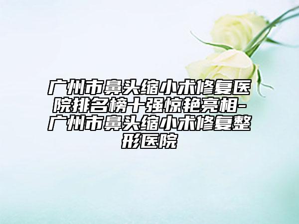 广州市鼻头缩小术修复医院排名榜十强惊艳亮相-广州市鼻头缩小术修复整形医院