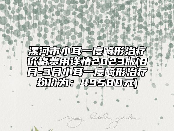 漯河市小耳一度畸形治疗价格费用详情2023版(8月-3月小耳一度畸形治疗均价为：49580元)