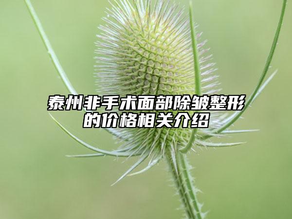 泰州非手术面部除皱整形的价格相关介绍