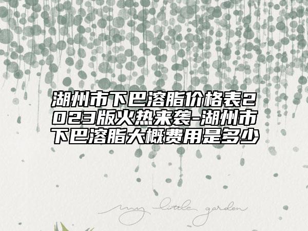 湖州市下巴溶脂价格表2023版火热来袭-湖州市下巴溶脂大概费用是多少
