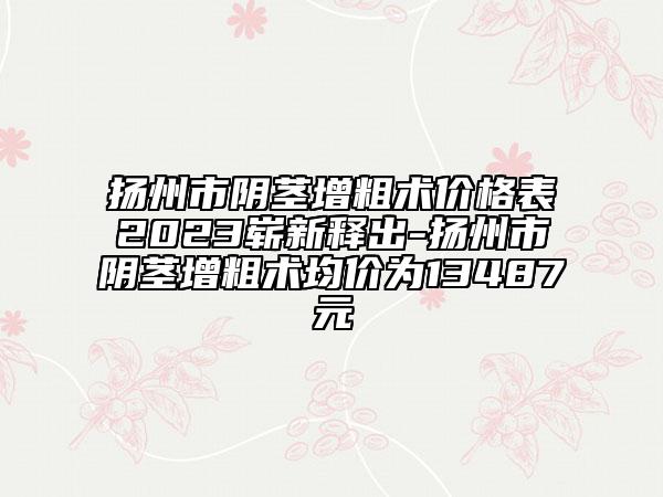 扬州市阴茎增粗术价格表2023崭新释出-扬州市阴茎增粗术均价为13487元