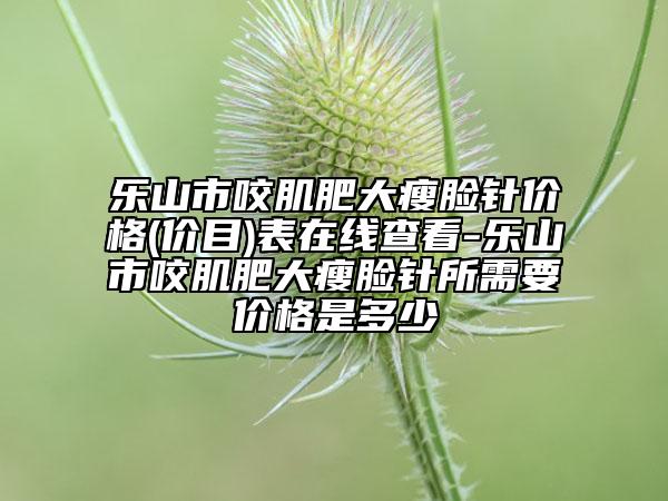 乐山市咬肌肥大瘦脸针价格(价目)表在线查看-乐山市咬肌肥大瘦脸针所需要价格是多少
