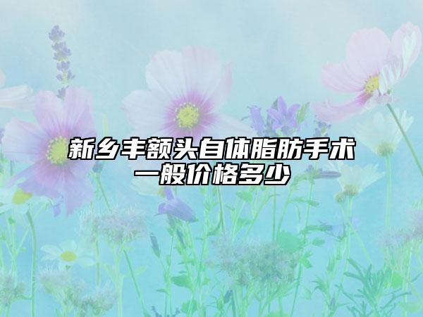 新乡丰额头自体脂肪手术一般价格多少