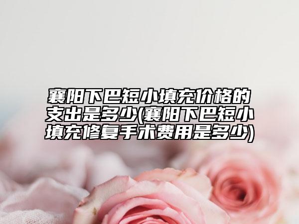 襄阳下巴短小填充价格的支出是多少(襄阳下巴短小填充修复手术费用是多少)