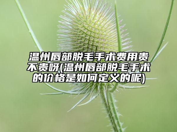 温州唇部脱毛手术费用贵不贵呀(温州唇部脱毛手术的价格是如何定义的呢)