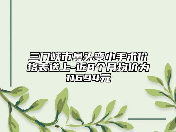 三门峡市鼻头变小手术价格表送上-近8个月均价为11694元