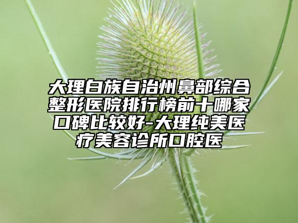 大理白族自治州鼻部综合整形医院排行榜前十哪家口碑比较好-大理纯美医疗美容诊所口腔医
