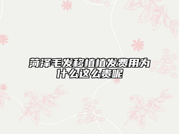 菏泽毛发移植植发费用为什么这么贵呢