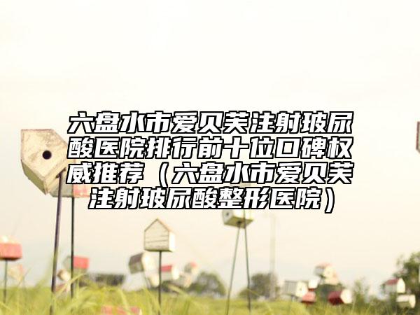 六盘水市爱贝芙注射玻尿酸医院排行前十位口碑权威推荐（六盘水市爱贝芙注射玻尿酸整形医院）