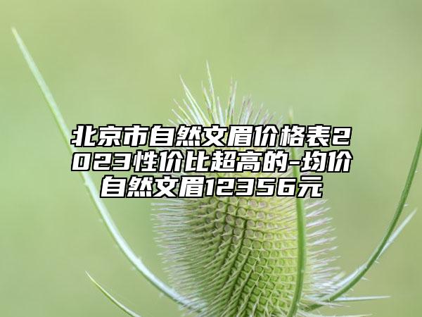 北京市自然文眉价格表2023性价比超高的-均价自然文眉12356元