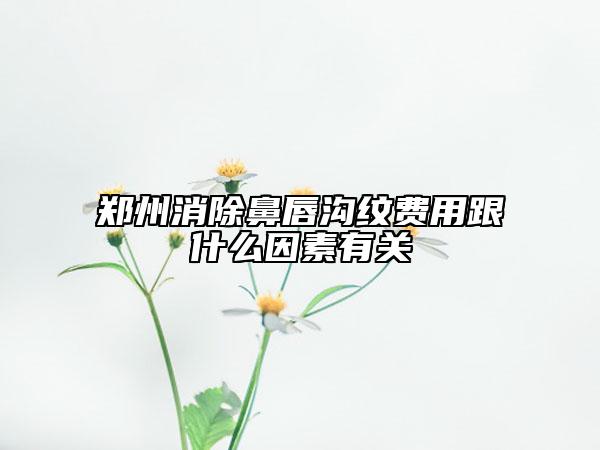 郑州消除鼻唇沟纹费用跟什么因素有关