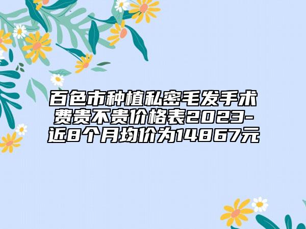 百色市种植私密毛发手术费贵不贵价格表2023-近8个月均价为14867元