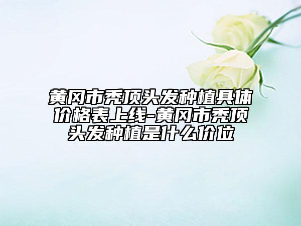 黄冈市秃顶头发种植具体价格表上线-黄冈市秃顶头发种植是什么价位
