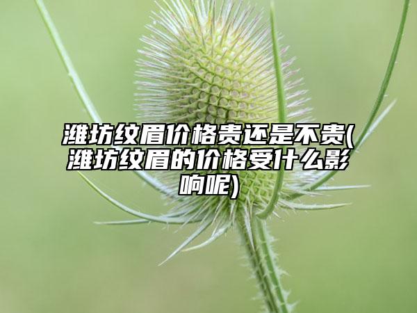 潍坊纹眉价格贵还是不贵(潍坊纹眉的价格受什么影响呢)