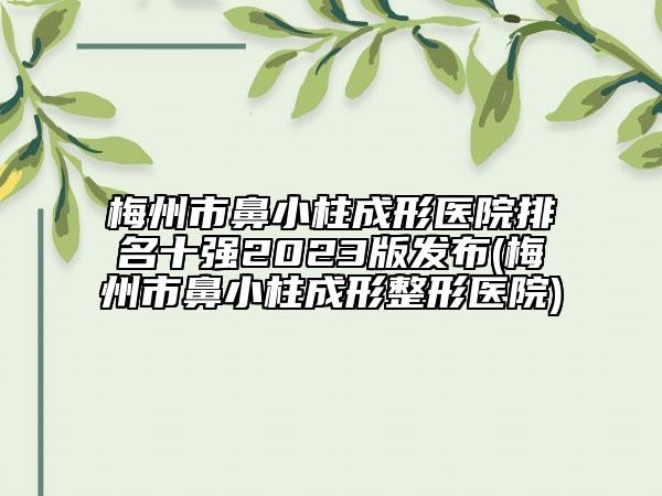 梅州市鼻小柱成形医院排名十强2023版发布(梅州市鼻小柱成形整形医院)