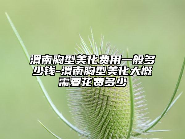 渭南胸型美化费用一般多少钱-渭南胸型美化大概需要花费多少