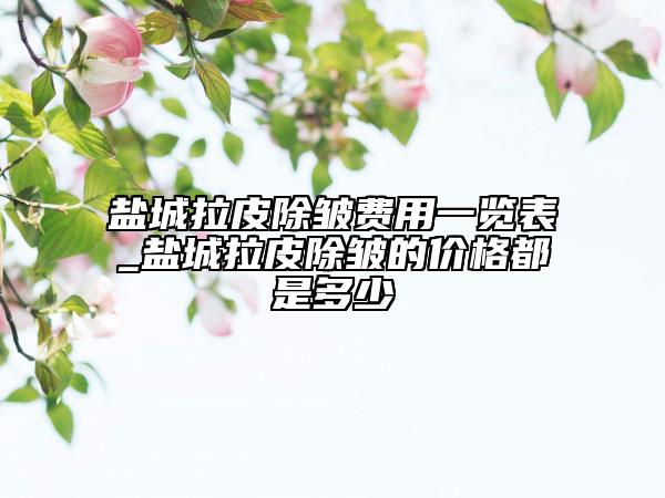 盐城拉皮除皱费用一览表_盐城拉皮除皱的价格都是多少