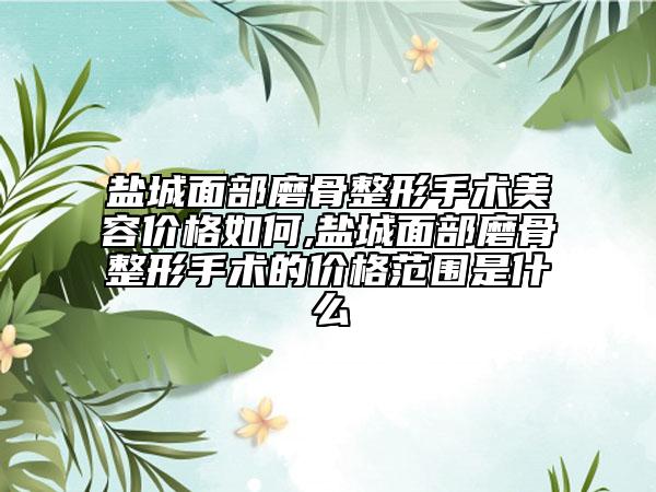 盐城面部磨骨整形手术美容价格如何,盐城面部磨骨整形手术的价格范围是什么