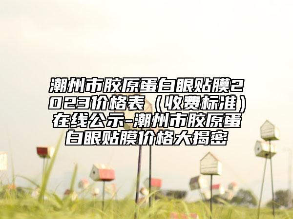 潮州市胶原蛋白眼贴膜2023价格表（收费标准）在线公示-潮州市胶原蛋白眼贴膜价格大揭密