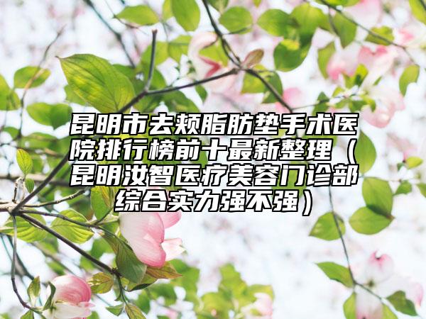 昆明市去颊脂肪垫手术医院排行榜前十最新整理（昆明汝智医疗美容门诊部综合实力强不强）