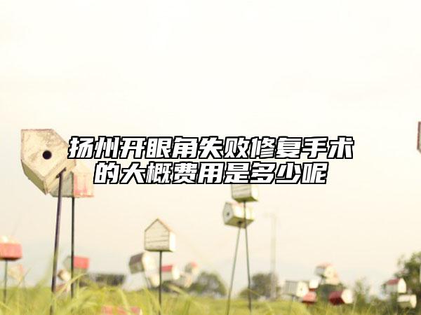 扬州开眼角失败修复手术的大概费用是多少呢