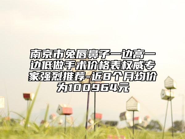 南京市兔唇鼻子一边高一边低做手术价格表权威专家强烈推荐-近8个月均价为100964元