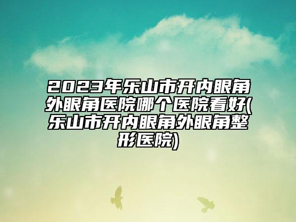 2023年乐山市开内眼角外眼角医院哪个医院看好(乐山市开内眼角外眼角整形医院)