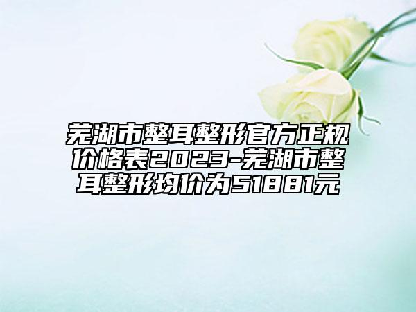 芜湖市整耳整形官方正规价格表2023-芜湖市整耳整形均价为51881元