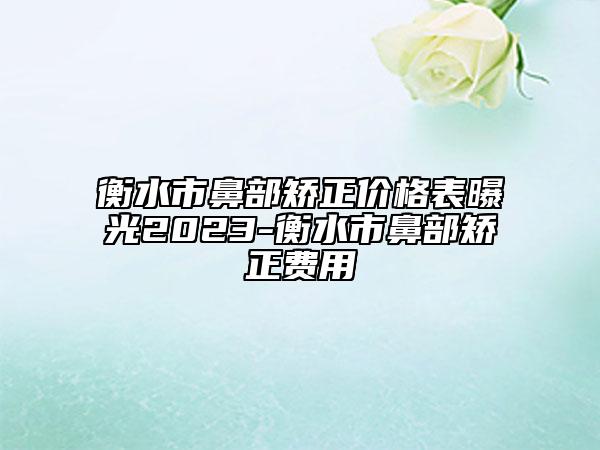 衡水市鼻部矫正价格表曝光2023-衡水市鼻部矫正费用