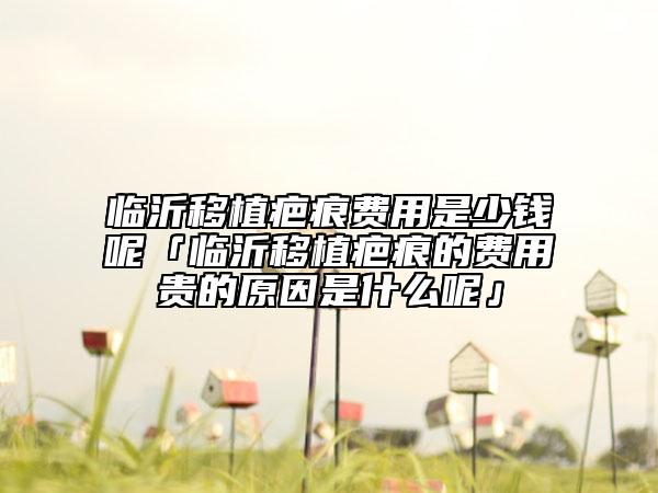 临沂移植疤痕费用是少钱呢「临沂移植疤痕的费用贵的原因是什么呢」